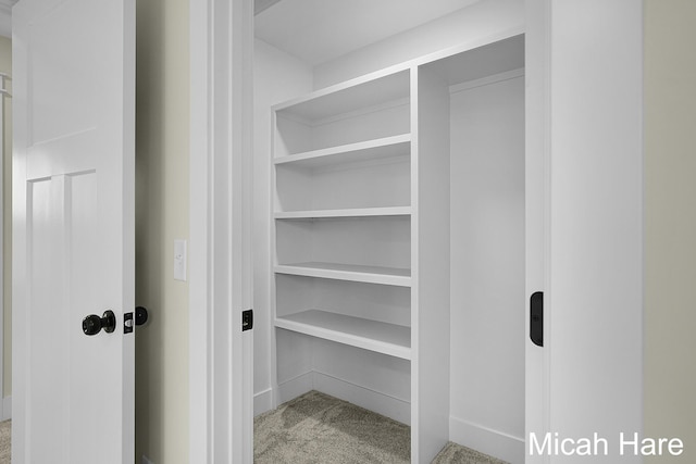 3054 Sehler St, Conklin, MI 49403 - view of closet