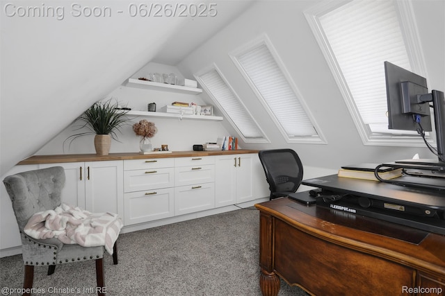 753 Grand Marais St, Grosse Pointe Park, MI 48230 - carpeted office featuring lofted ceiling
