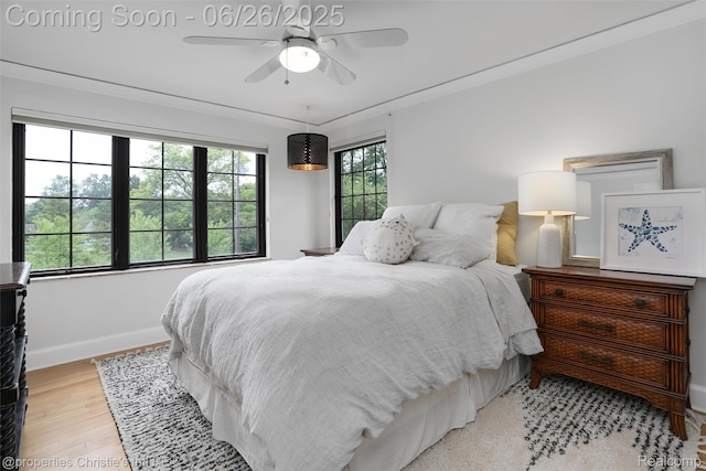 753 Grand Marais St, Grosse Pointe Park, MI 48230 - bedroom with wood finished floors and a ceiling fan