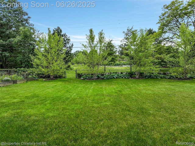 753 Grand Marais St, Grosse Pointe Park, MI 48230 - view of yard