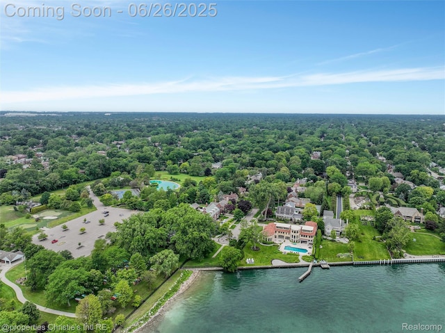 753 Grand Marais St, Grosse Pointe Park, MI 48230 - bird's eye view of a large body of water and a heavily wooded area