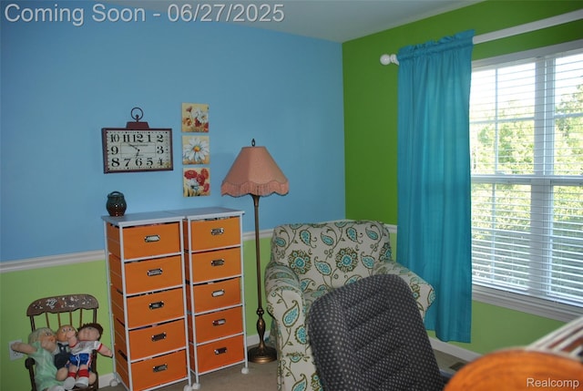 3971 Silver Charm Ln, Howell, MI 48843 - photo 22