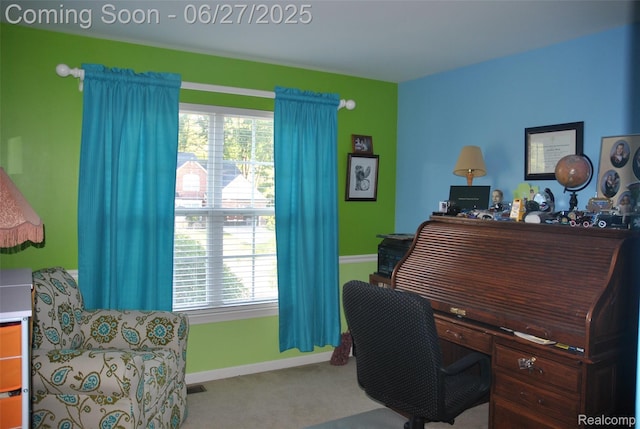 3971 Silver Charm Ln, Howell, MI 48843 - photo 21