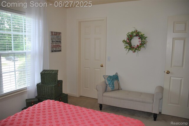 3971 Silver Charm Ln, Howell, MI 48843 - photo 20
