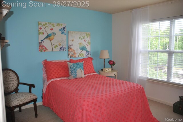 3971 Silver Charm Ln, Howell, MI 48843 - photo 19