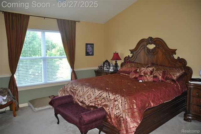 3971 Silver Charm Ln, Howell, MI 48843 - photo 17