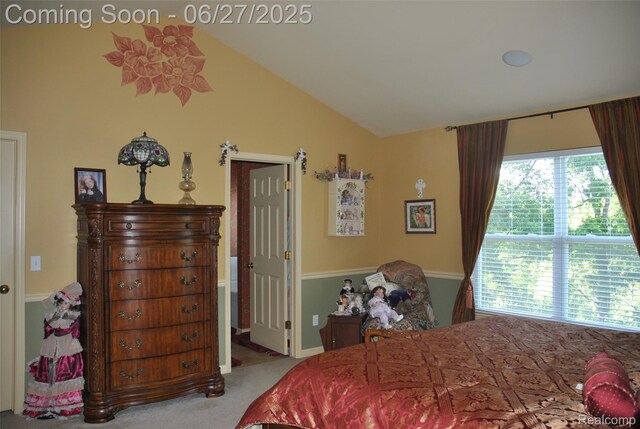 3971 Silver Charm Ln, Howell, MI 48843 - photo 16