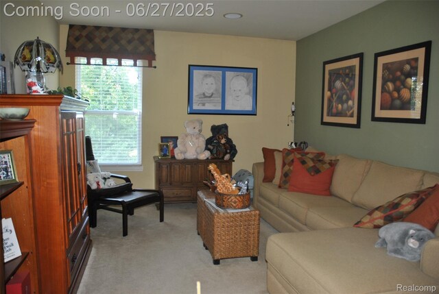 3971 Silver Charm Ln, Howell, MI 48843 - photo 13