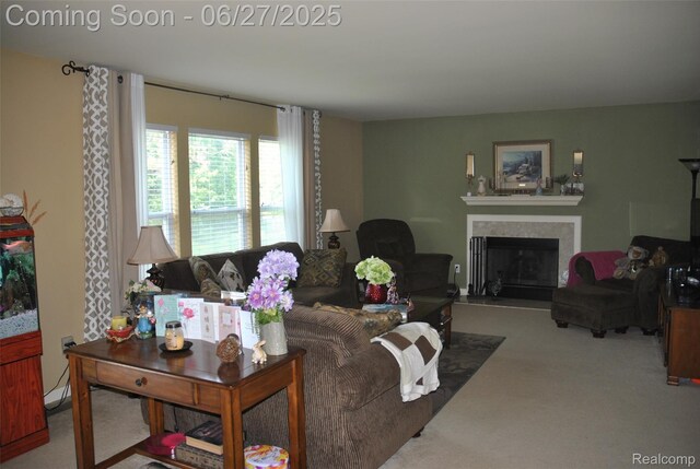 3971 Silver Charm Ln, Howell, MI 48843 - photo 10
