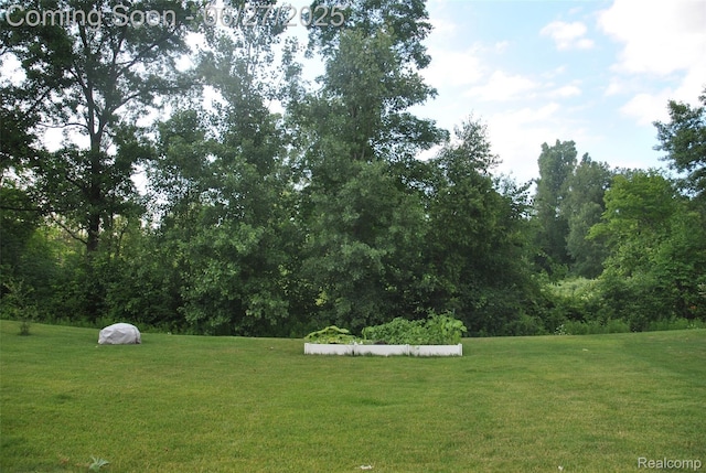 3971 Silver Charm Ln, Howell, MI 48843 - photo 4