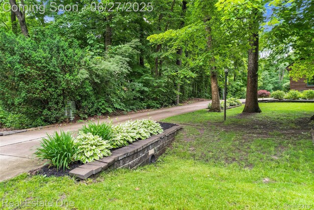 2300 Canyon Ridge Dr, White Lake, MI 48383 - view of green lawn