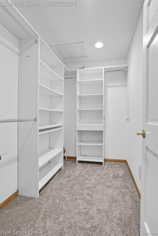 2300 Canyon Ridge Dr, White Lake, MI 48383 - walk in closet with carpet floors and attic access