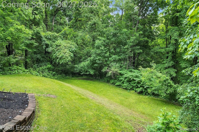 2300 Canyon Ridge Dr, White Lake, MI 48383 - view of green lawn with a view of trees
