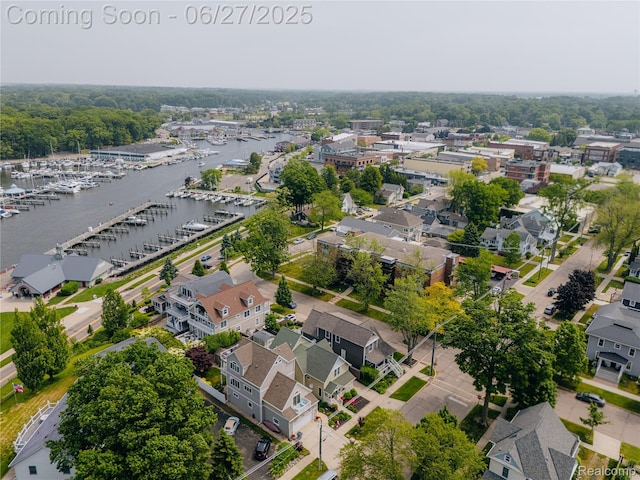 229 Huron St, South Haven, MI 49090 - view of property location with numerous boat docks and a nearby body of water
