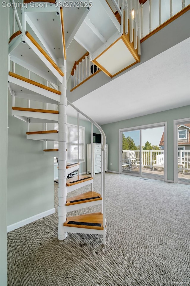 229 Huron St, South Haven, MI 49090 - stairway featuring carpet floors and baseboards
