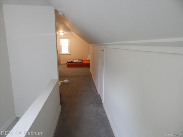 22133 Rosedale St, Saint Clair Shores, MI 48080 - hall featuring vaulted ceiling and carpet