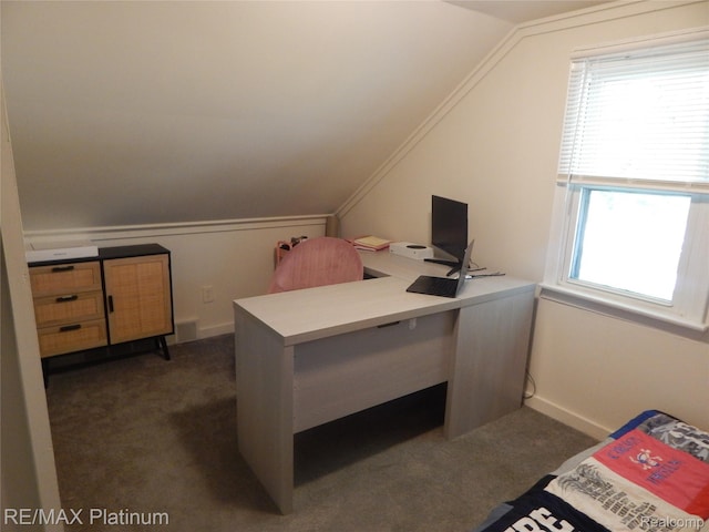 22133 Rosedale St, Saint Clair Shores, MI 48080 - office with dark carpet and vaulted ceiling