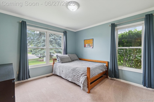 1453 Maplewood Dr, Saline, MI 48176 - bedroom with carpet flooring, multiple windows, and crown molding