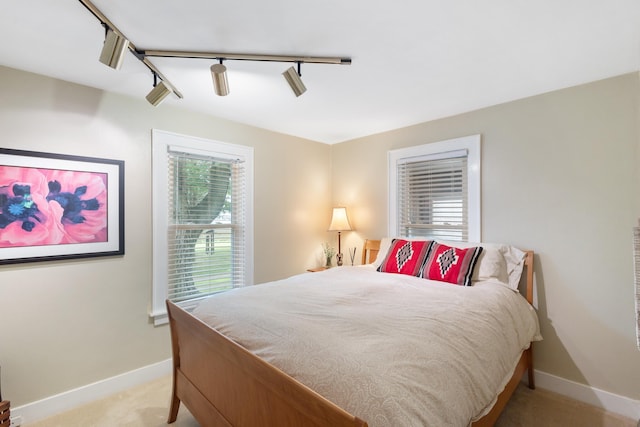 9708 Oakland Dr, Portage, MI 49024 - bedroom with light colored carpet and track lighting