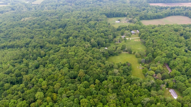 8454 Stickles Rd, Three Oaks, MI 49128 - aerial overview of property's location with a forest
