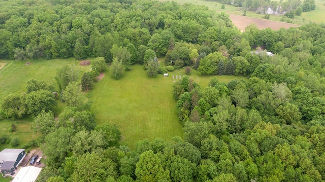 8454 Stickles Rd, Three Oaks, MI 49128 - drone / aerial view of a heavily wooded area