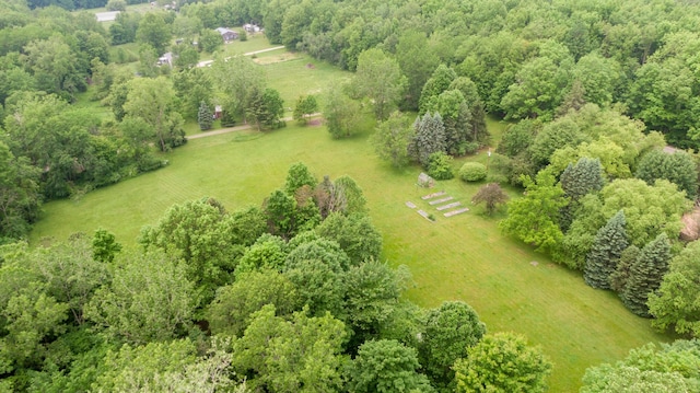 8454 Stickles Rd, Three Oaks, MI 49128 - view of rural area