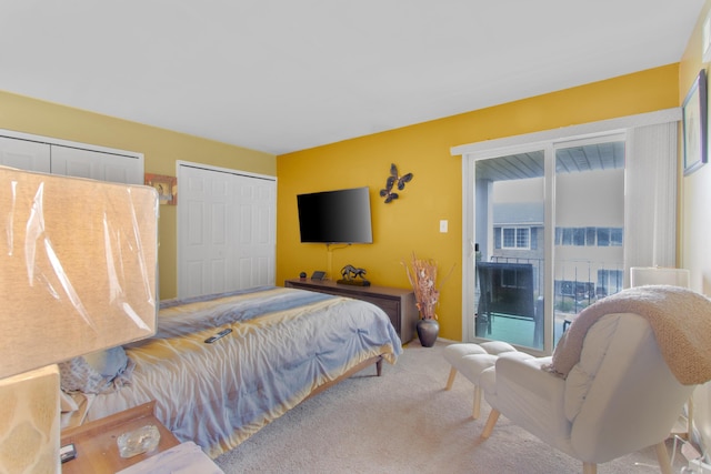 25349 Shiawassee Cir Unit 204, Southfield, MI 48033 - bedroom featuring carpet, two closets, and access to exterior