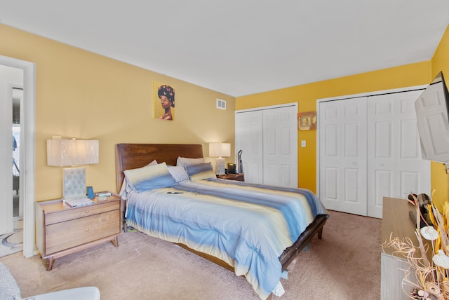 25349 Shiawassee Cir Unit 204, Southfield, MI 48033 - bedroom with carpet flooring and two closets