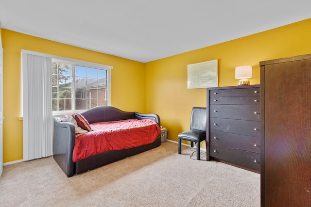 25349 Shiawassee Cir Unit 204, Southfield, MI 48033 - bedroom featuring carpet floors and baseboards