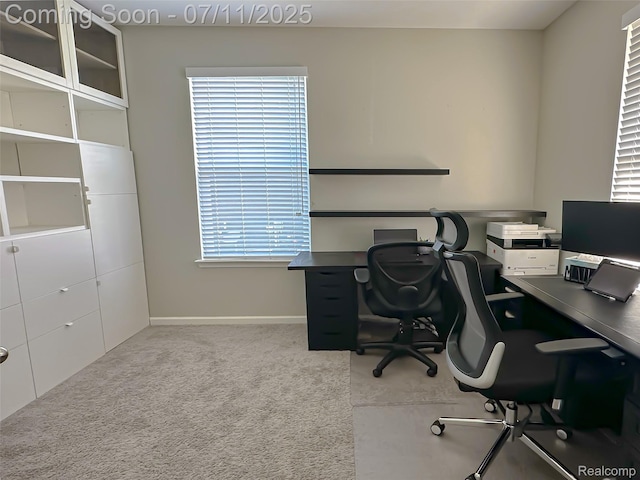 1395 Bluff Dr, Howell, MI 48843 - photo 9