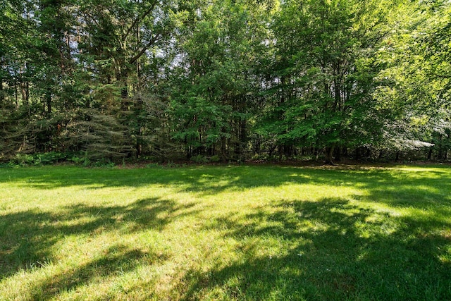 3395 Simsbury Dr, Pinckney, MI 48169 - view of green lawn featuring a view of trees