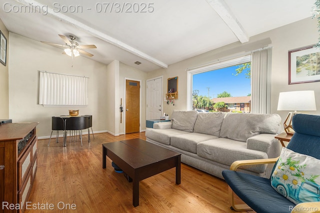 29038 Spoon Ave, Madison Heights, MI 48071 - living area with light wood-style flooring and ceiling fan