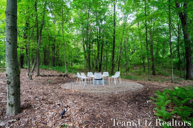 410 Greentree Ln NE, Ada, MI 49301 - view of yard featuring a patio and a wooded view