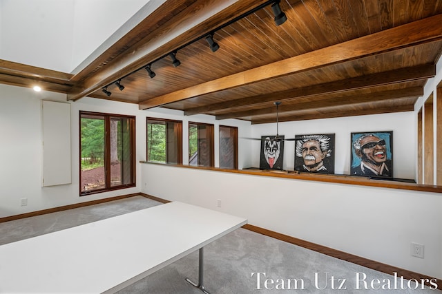 410 Greentree Ln NE, Ada, MI 49301 - unfurnished office with carpet flooring, rail lighting, and a wooden ceiling with exposed beams