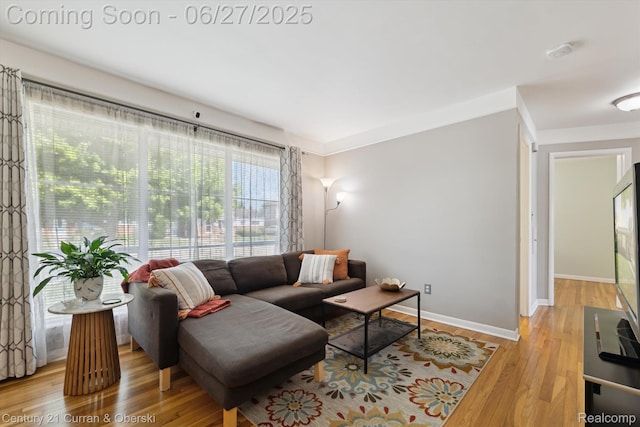 11769 Eileen, Redford, MI 48239 - living room with light wood-type flooring and baseboards
