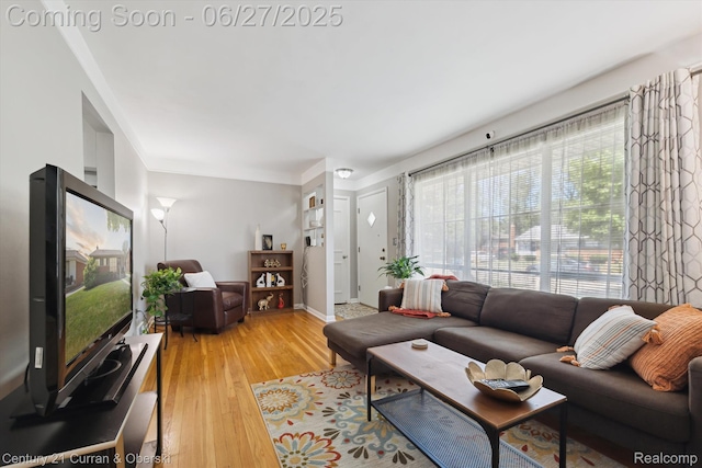 11769 Eileen, Redford, MI 48239 - living room with light wood-type flooring and baseboards