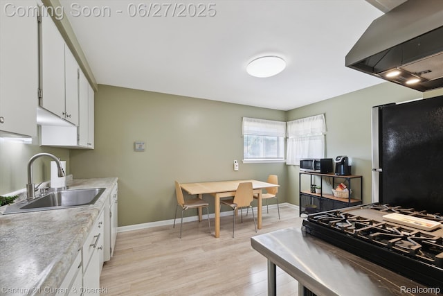 11769 Eileen, Redford, MI 48239 - kitchen with appliances with stainless steel finishes, ventilation hood, light wood finished floors, light countertops, and white cabinetry