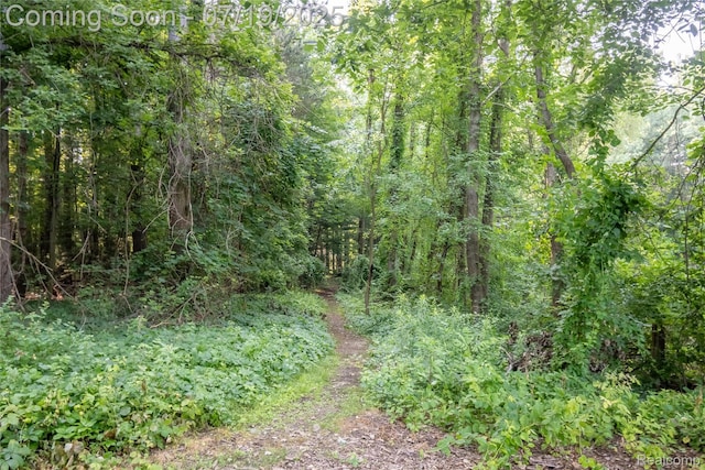 9268 Cumberland Ct, Commerce Twp, MI 48390 - photo 52