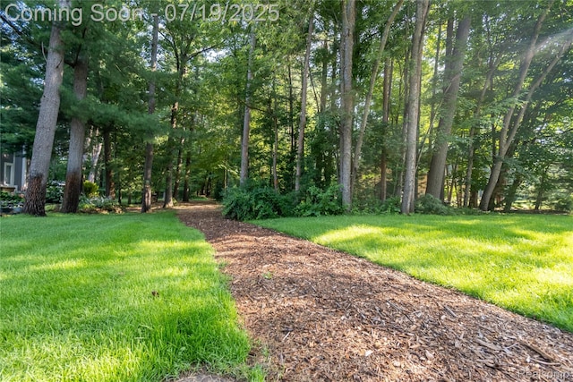 9268 Cumberland Ct, Commerce Twp, MI 48390 - photo 45