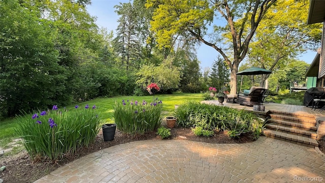 2650 Binbrooke Dr, Troy, MI 48084 - view of green lawn featuring a patio