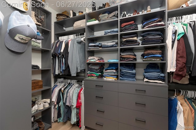 8264 Stoney Creek Dr, South Lyon, MI 48178 - spacious closet with wood finished floors