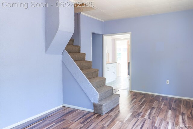21312 Saint Francis St, Farmington Hills, MI 48336 - stairway featuring wood finished floors and baseboards