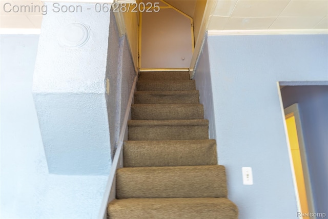 21312 Saint Francis St, Farmington Hills, MI 48336 - view of stairs