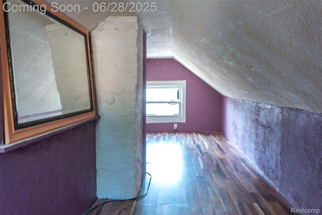 21312 Saint Francis St, Farmington Hills, MI 48336 - additional living space featuring lofted ceiling and wood finished floors