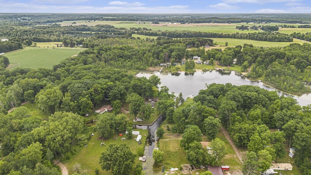4482 Woodland Dr, Six Lakes, MI 48886 - photo 7