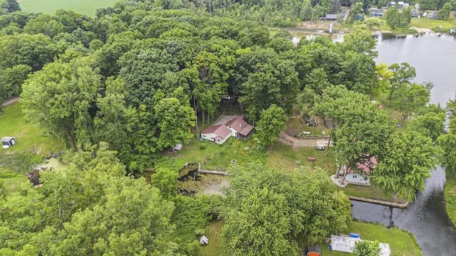 4482 Woodland Dr, Six Lakes, MI 48886 - photo 6