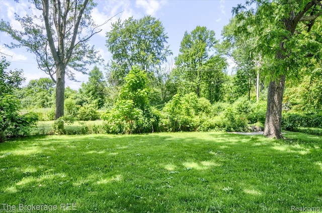 8021 Benson Rd, Mount Morris, MI 48458 - view of grassy yard