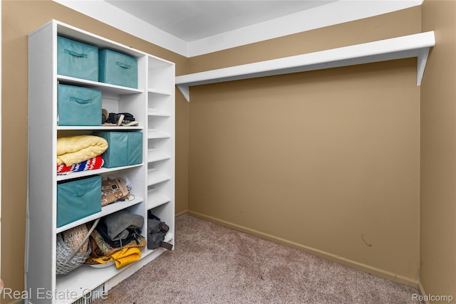21462 Meridian Rd, Grosse Ile, MI 48138 - walk in closet featuring carpet