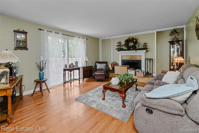 21462 Meridian Rd, Grosse Ile, MI 48138 - living area featuring wood finished floors and a tile fireplace
