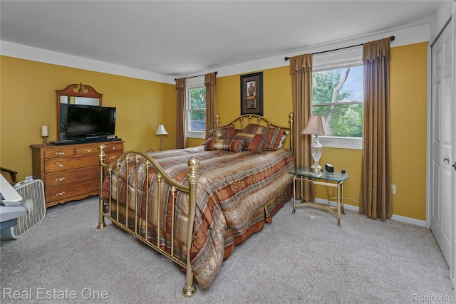 21462 Meridian Rd, Grosse Ile, MI 48138 - view of carpeted bedroom